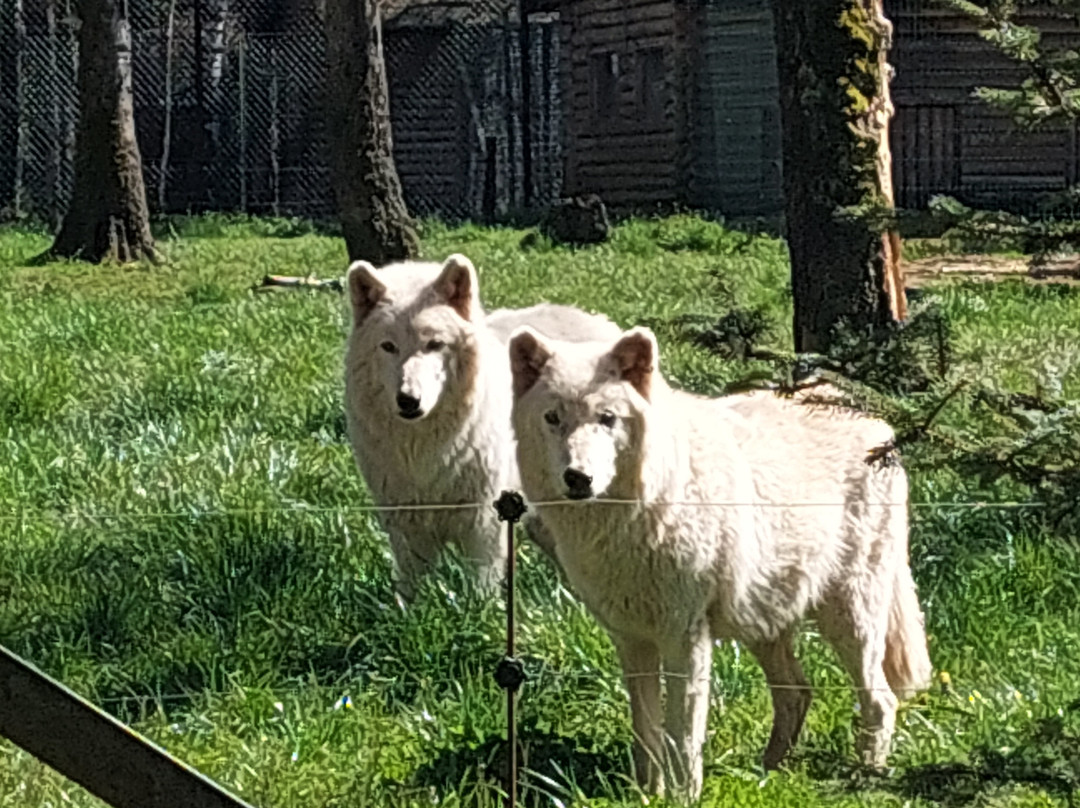 Le Monde Sauvage-艾瓦耶必去景点