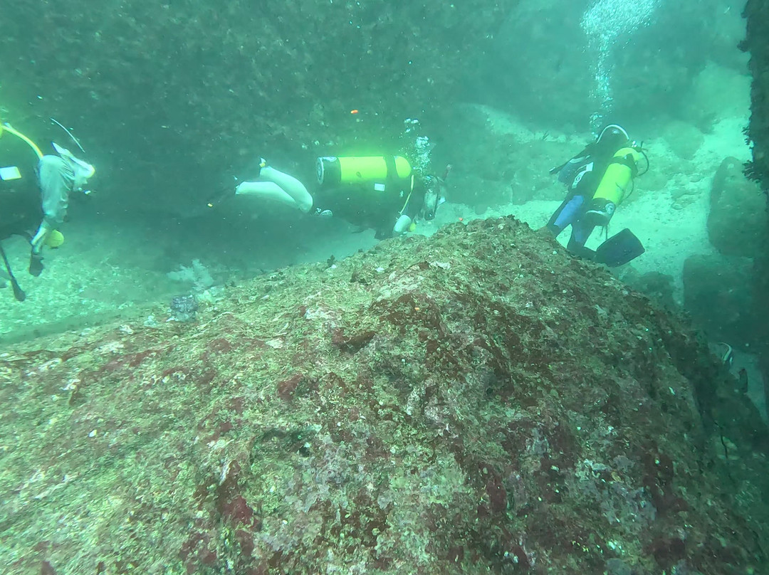 International Diving School-希克杜沃必去景点