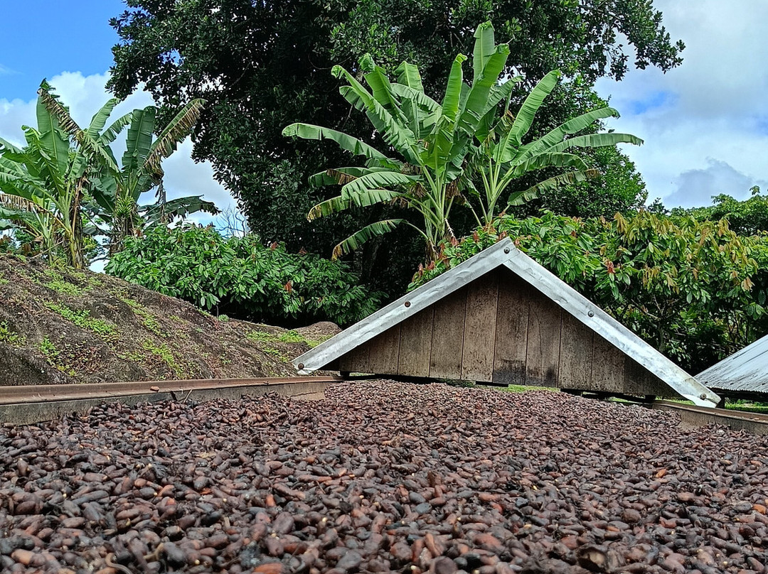 ilheus passeios-Ilheus必去景点