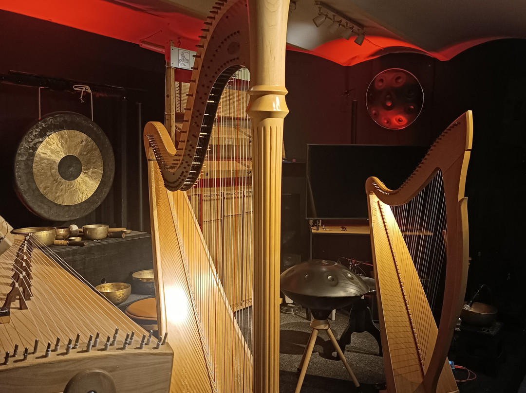 Luc Vanlaere Harpist - Harp Museum-布鲁日必去景点