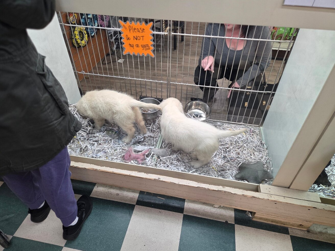 Booths Corner Farmers Market-Garnet Valley必去景点