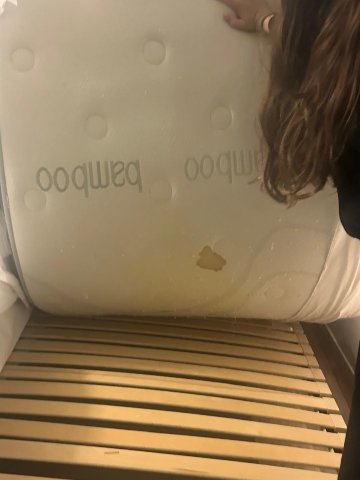 未来酒店-旅行者