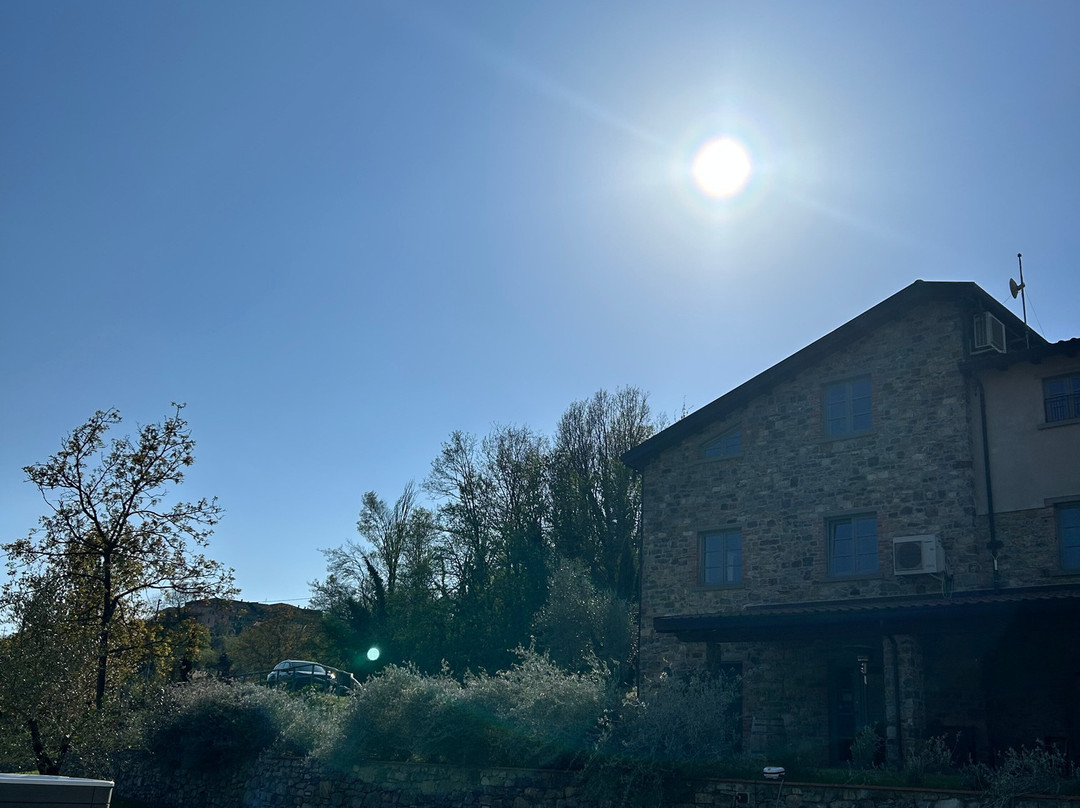 Agriturismo I Giunchi主图