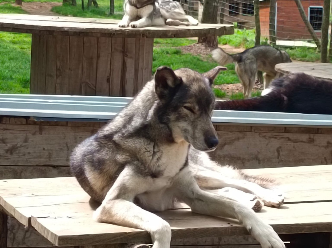 Latitude Nordique-Braslou必去景点