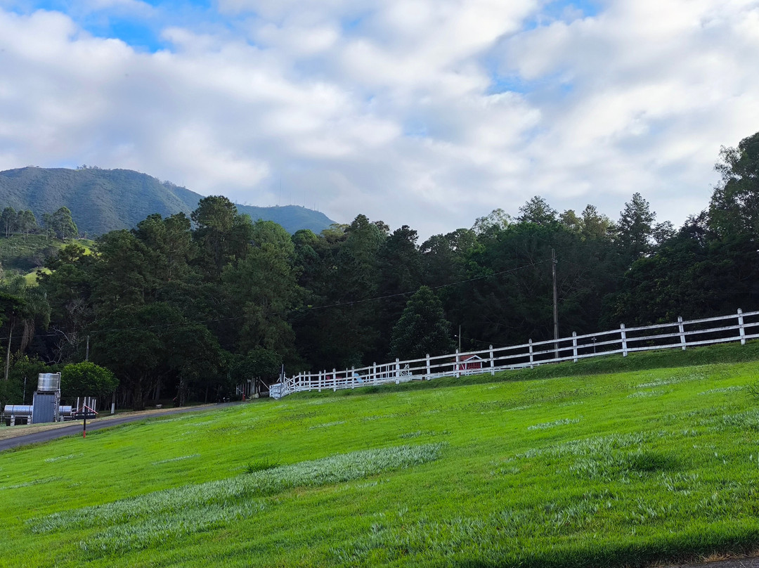M1庄园酒店主图
