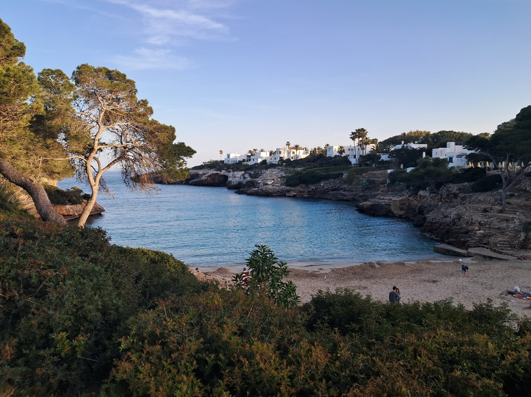 Cala Esmeralda Beach-卡拉多尔必去景点