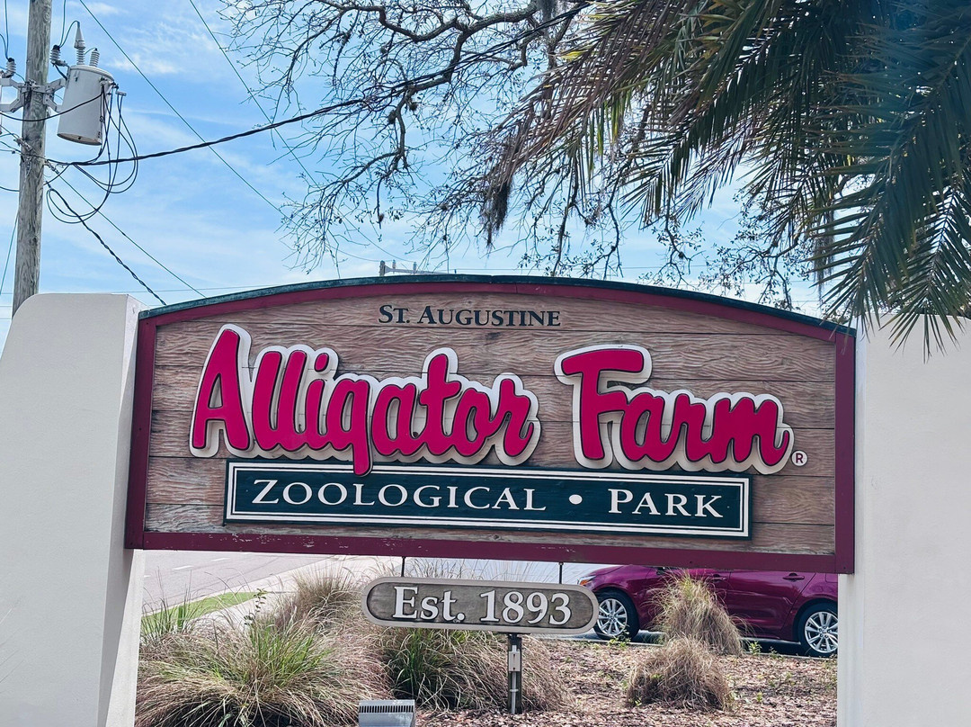 St. Augustine Alligator Farm Zoological Park-圣奥古斯丁必去景点