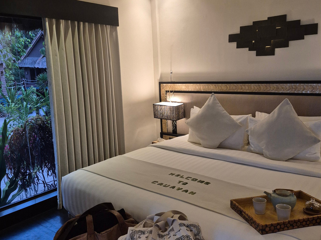 卡瓦延岛度假村-爱妮岛主图