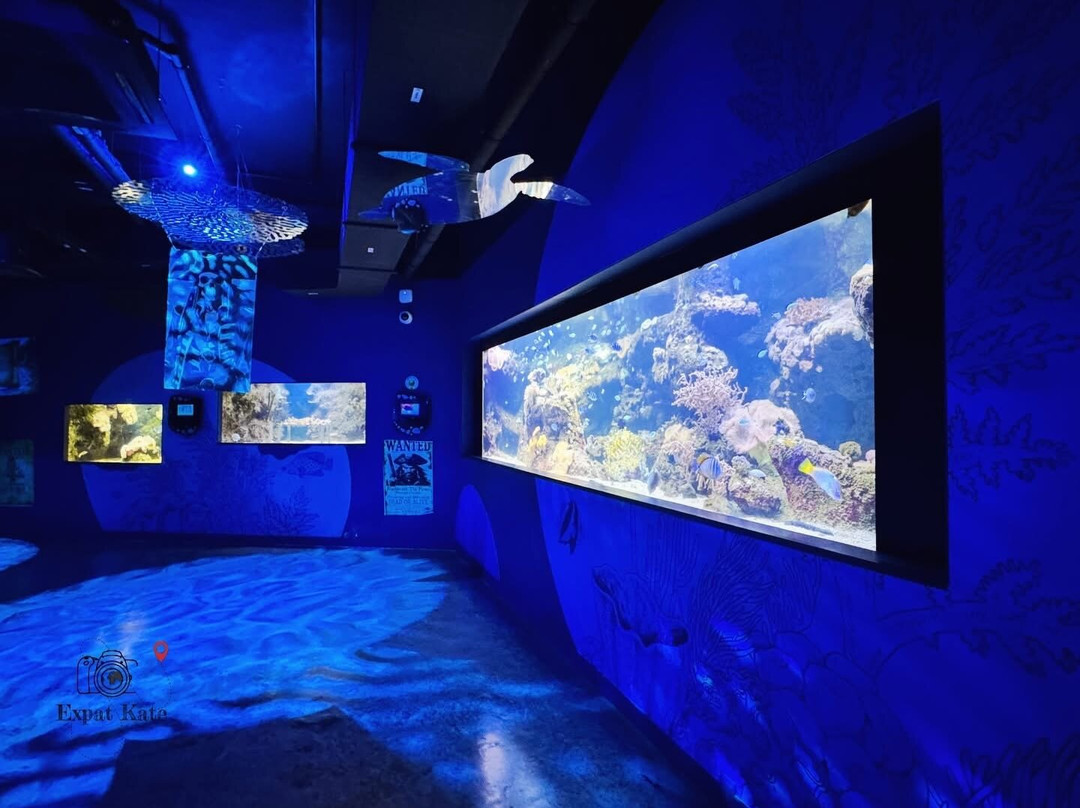Odysseo Oceanarium Mauritius-路易士港必去景点