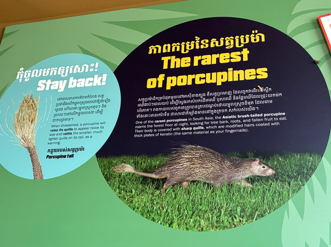 Angkor Wildlife & Aquarium-暹粒必去景点