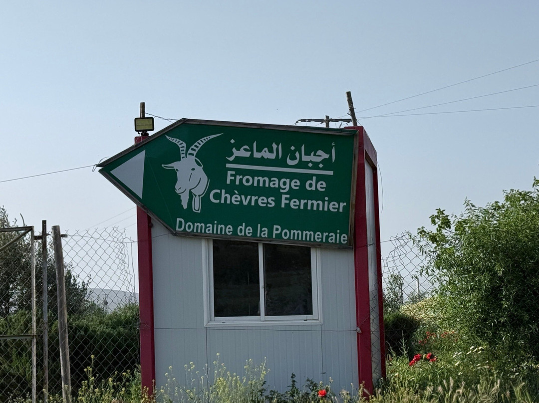 非斯布勒曼大区旅游景点-Domaine De La Pommeraie