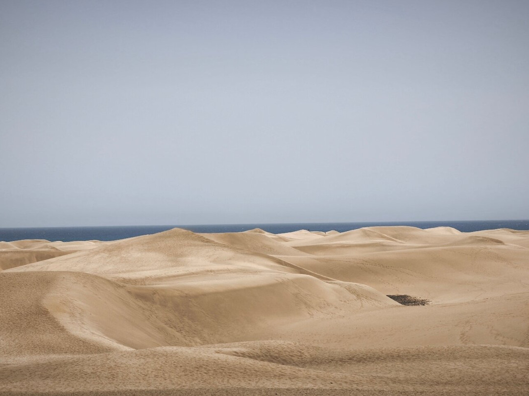 Reserva Natural Especial de Las Dunas de Maspalomas-马斯帕洛马斯必去景点