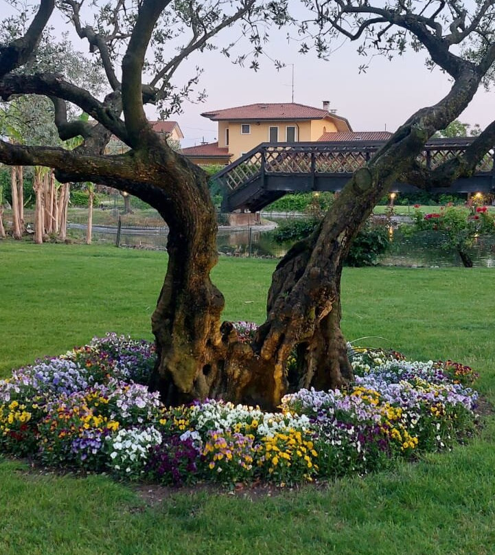 Centro Benessere Terme della Valpolicella-Ospedaletto必去景点