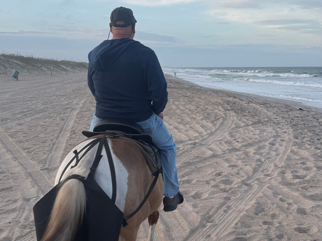 Amelia Island Horseback Riding-费尔南迪纳岛必去景点
