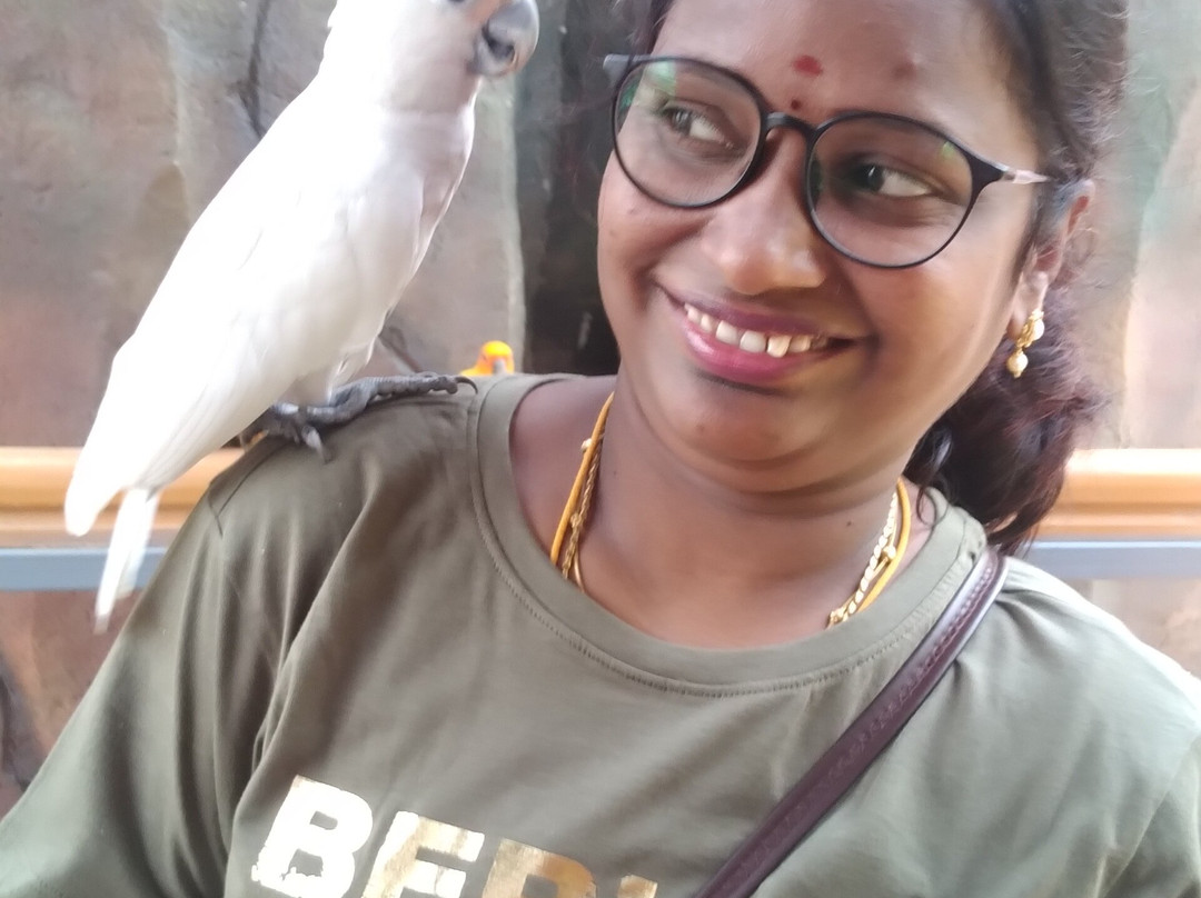 Trichy Birds Park-Tiruchirappalli District必去景点
