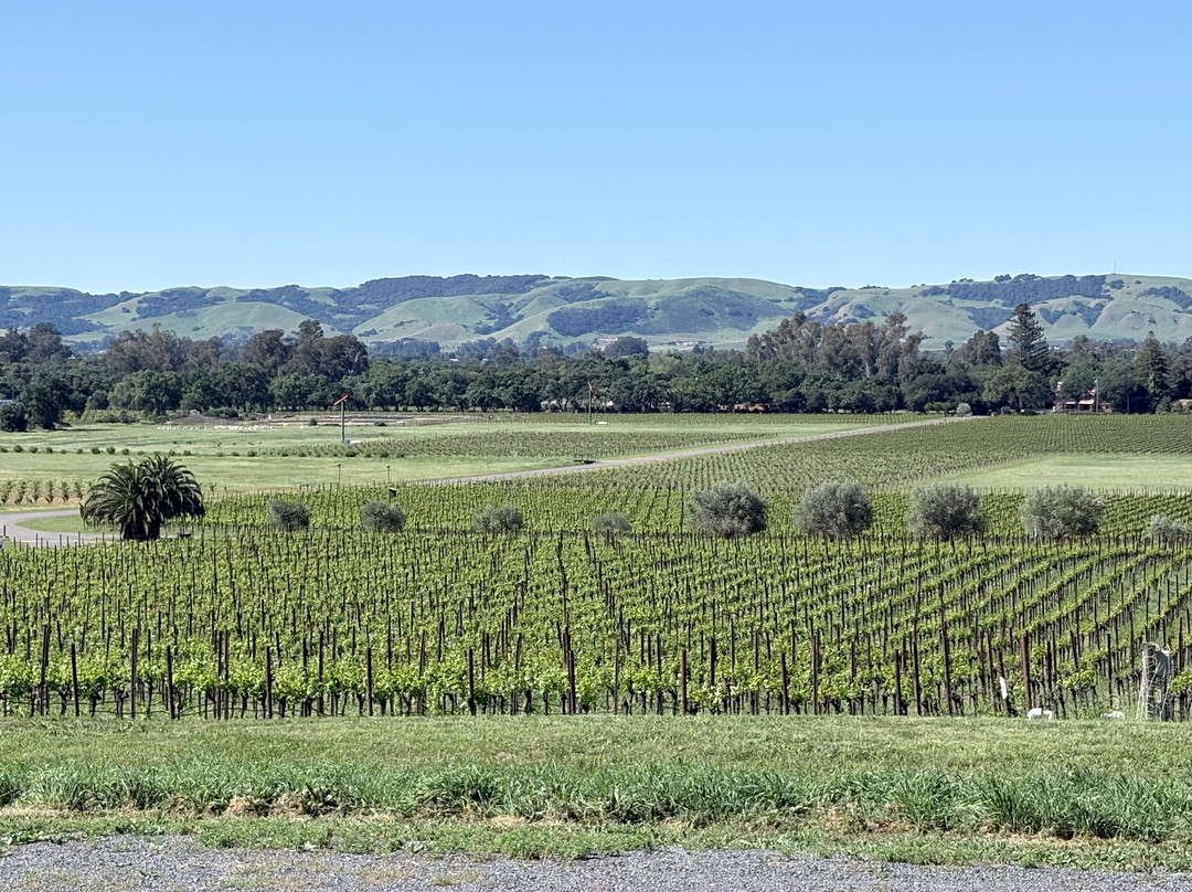 Gundlach Bundschu Winery-索诺玛必去景点