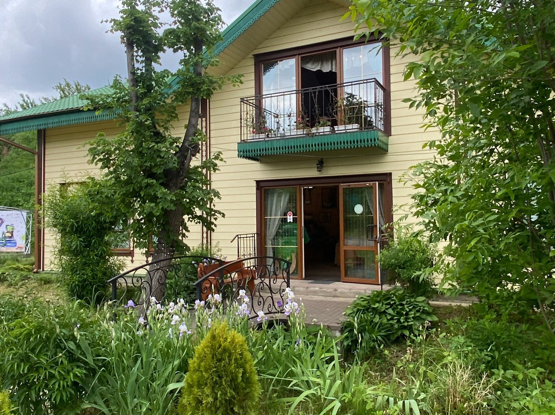 Frog's Museum-Dmitrov必去景点