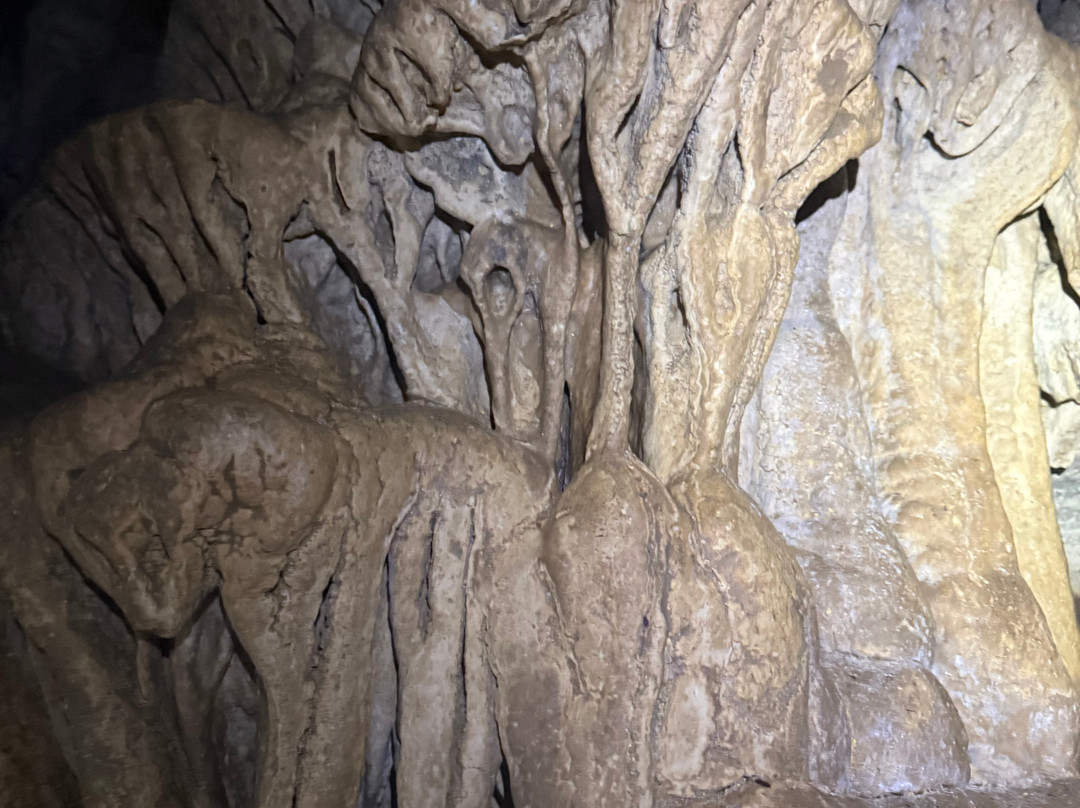 Cavernas Jumandy-Archidona必去景点