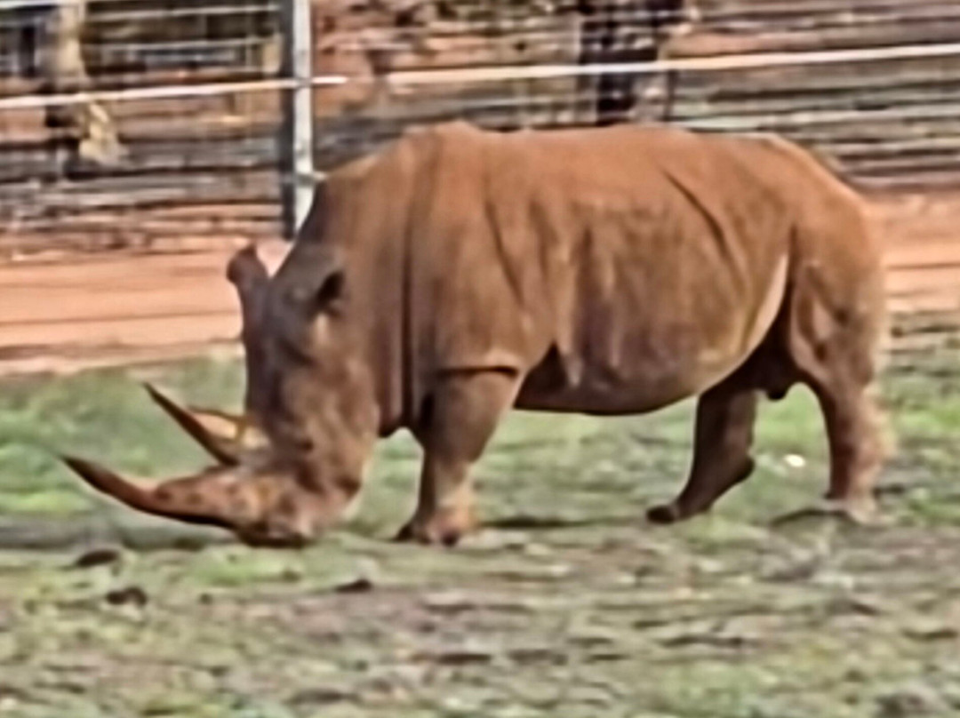 Monarto Safari Park-Monarto必去景点