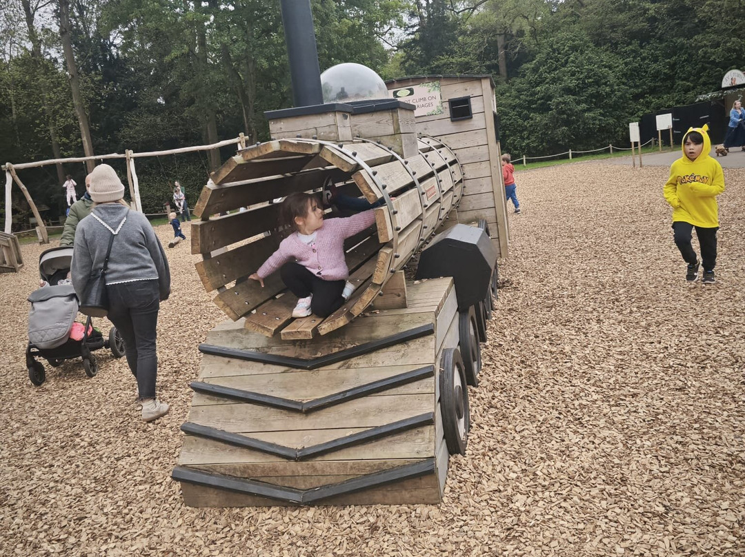 Audley End Miniature Railway-Saffron Walden必去景点