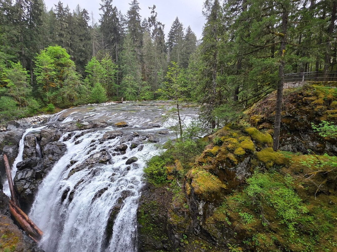 Englishman River Falls Provincial Park-Errington必去景点
