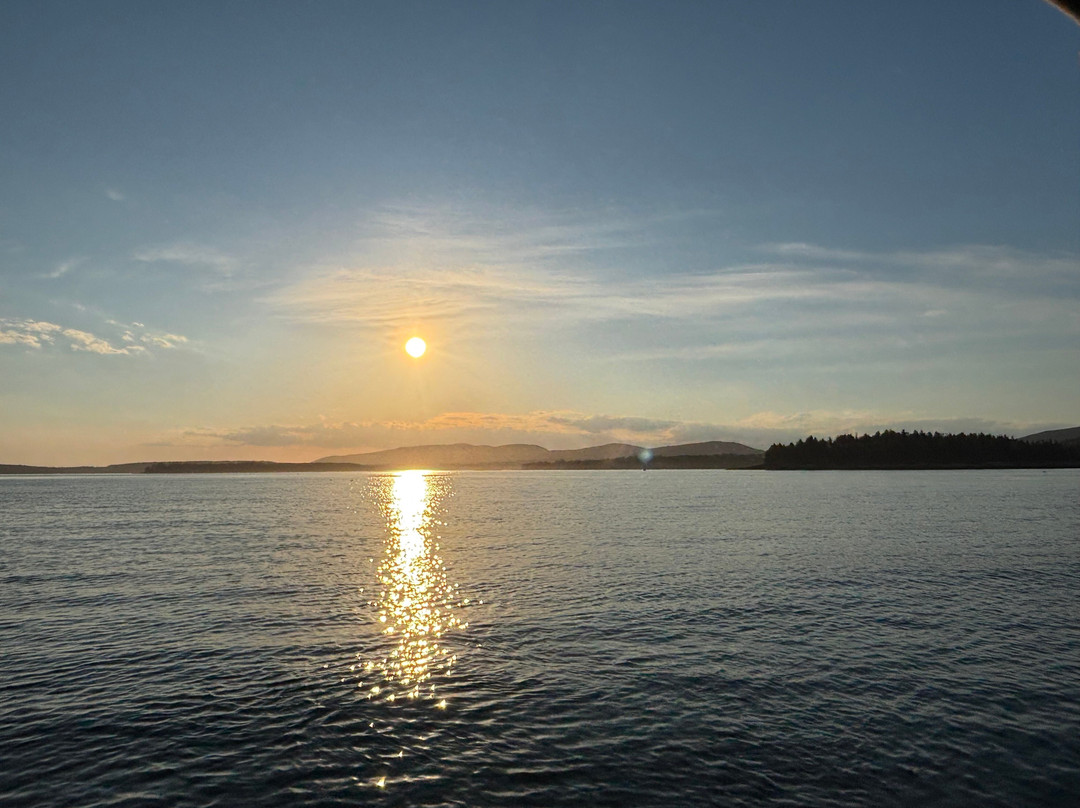 Sail Acadia-Southwest Harbor必去景点