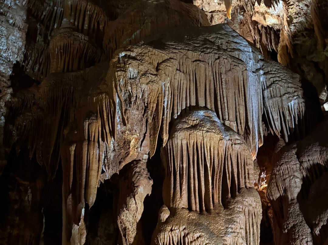 Baredin Cave-Nova Vas必去景点