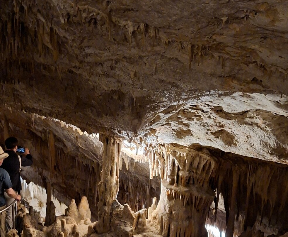 Cuevas del Drach-克里斯托港必去景点