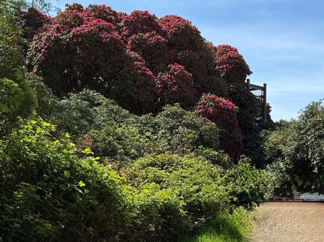 Sheringham Park-Sheringham必去景点