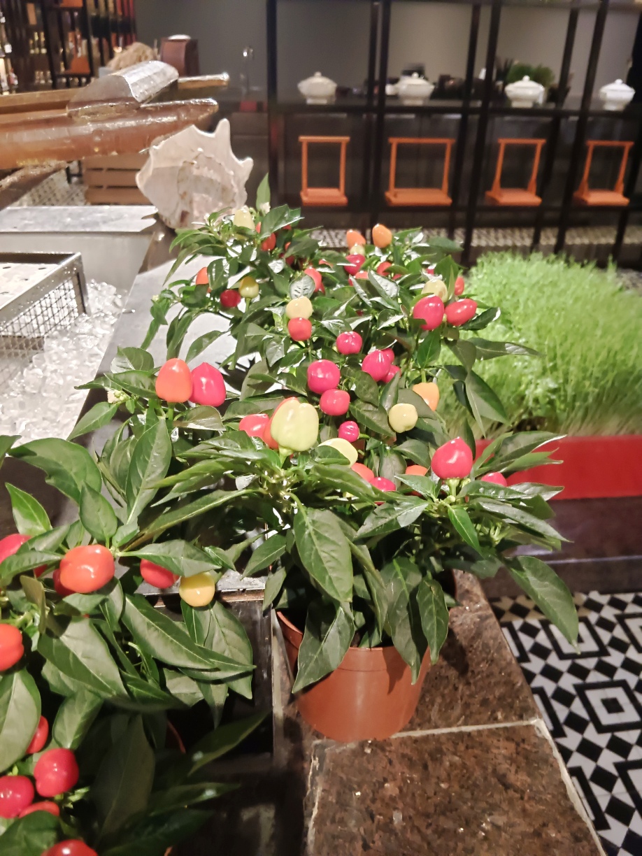 成都群光君悦酒店(春熙路太古里店)-旅行者