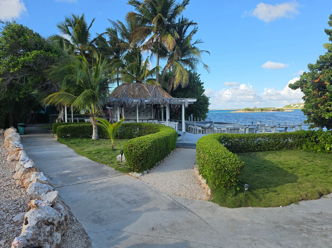 Arawak Beach Club主图