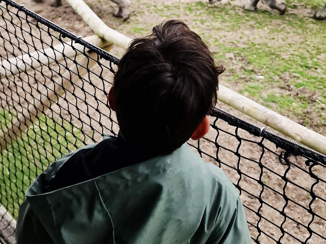 Parc Zoologique Cerza-Hermival-les-Vaux必去景点