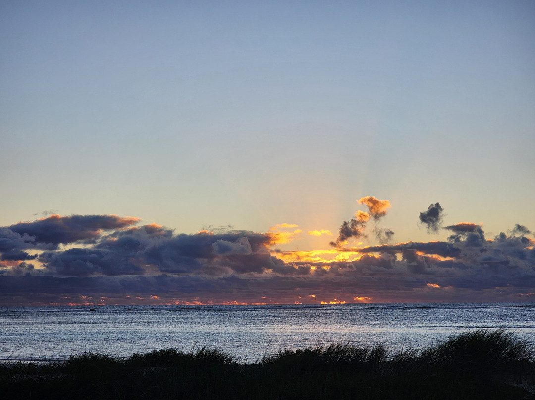 Experience Lancelin Holiday Park