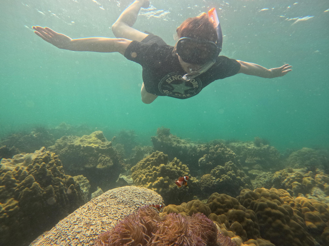 Batam Snorkeling Tour-Tembesi必去景点