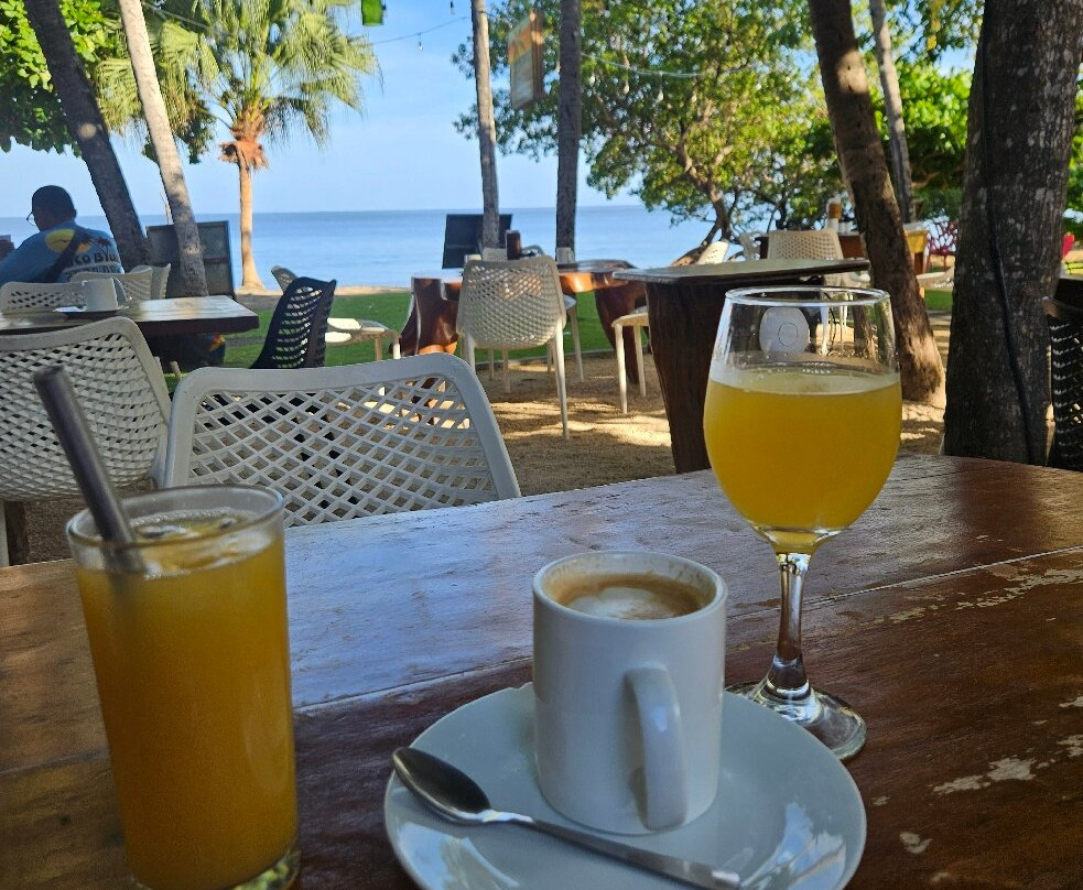 Hotel la Gaviota Tropical主图