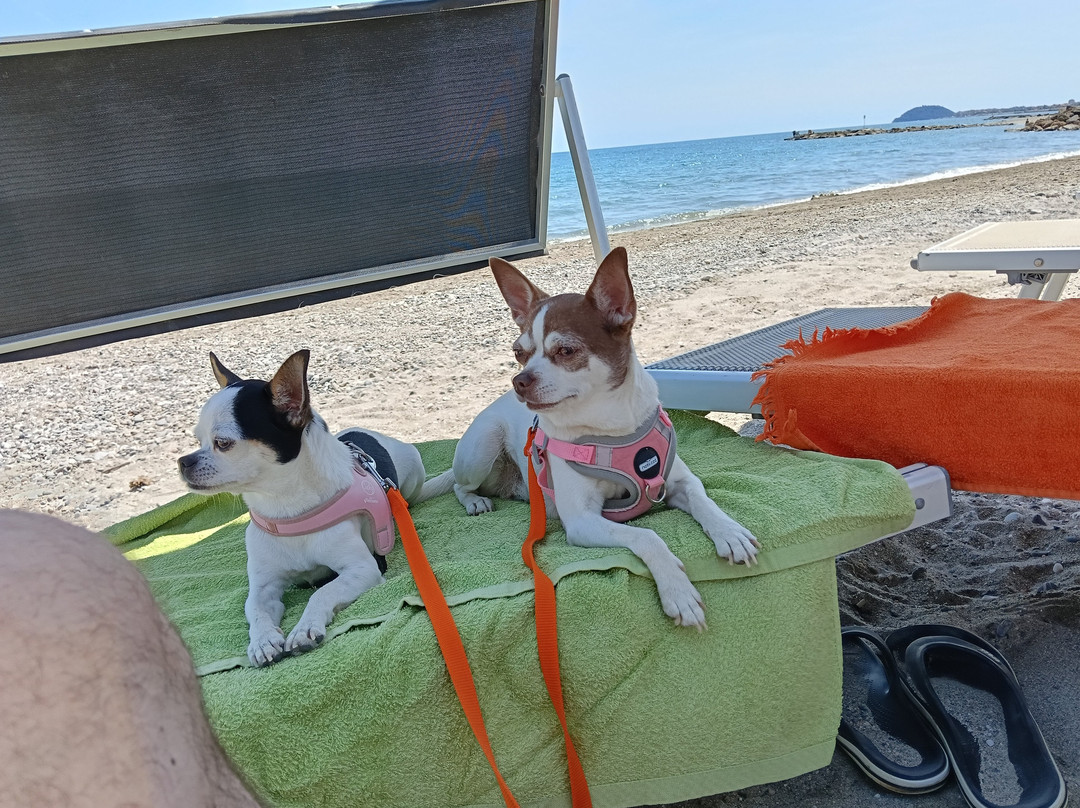 la spiaggia di Pippo