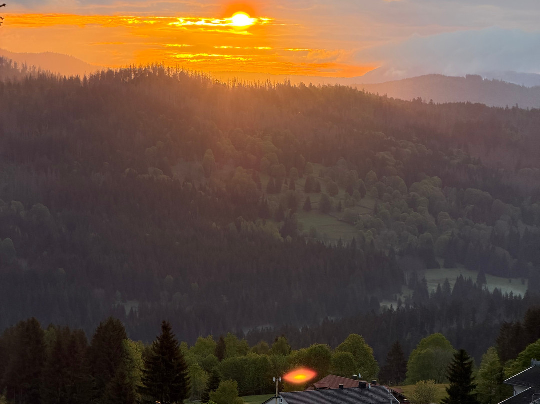 Hunderesort Waldeck - 4 Sterne Urlaub Mit Hund主图