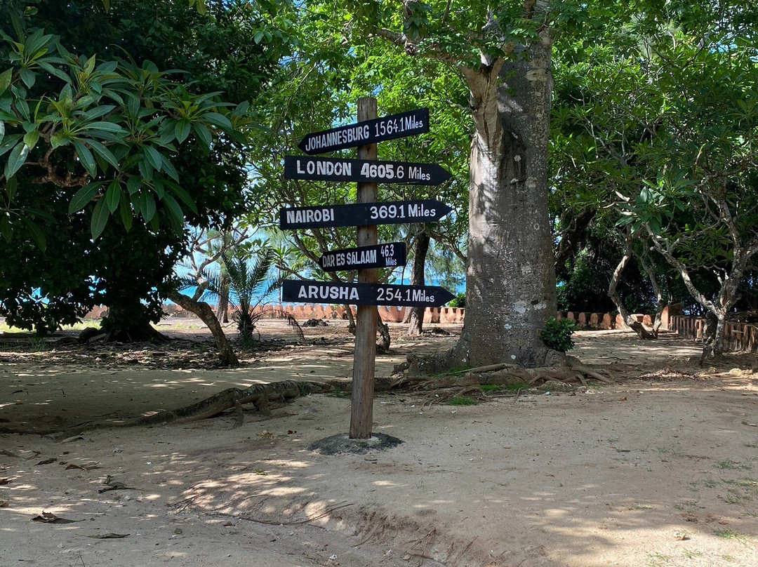 Prison Island - Changuu Private Island-石头城必去景点