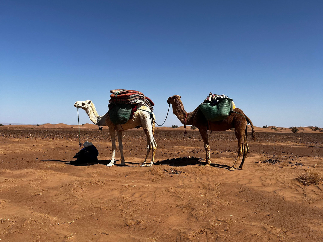 Loud Sahara Day Tours-扎古拉必去景点