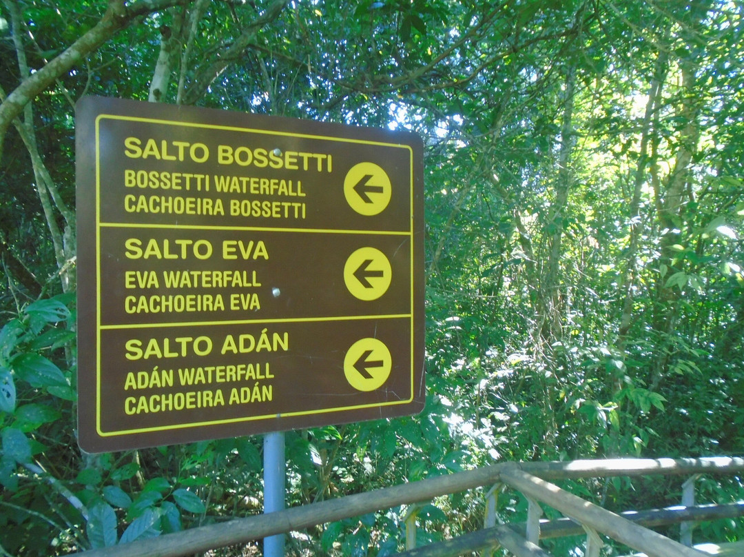 Salto Adan Y Eva