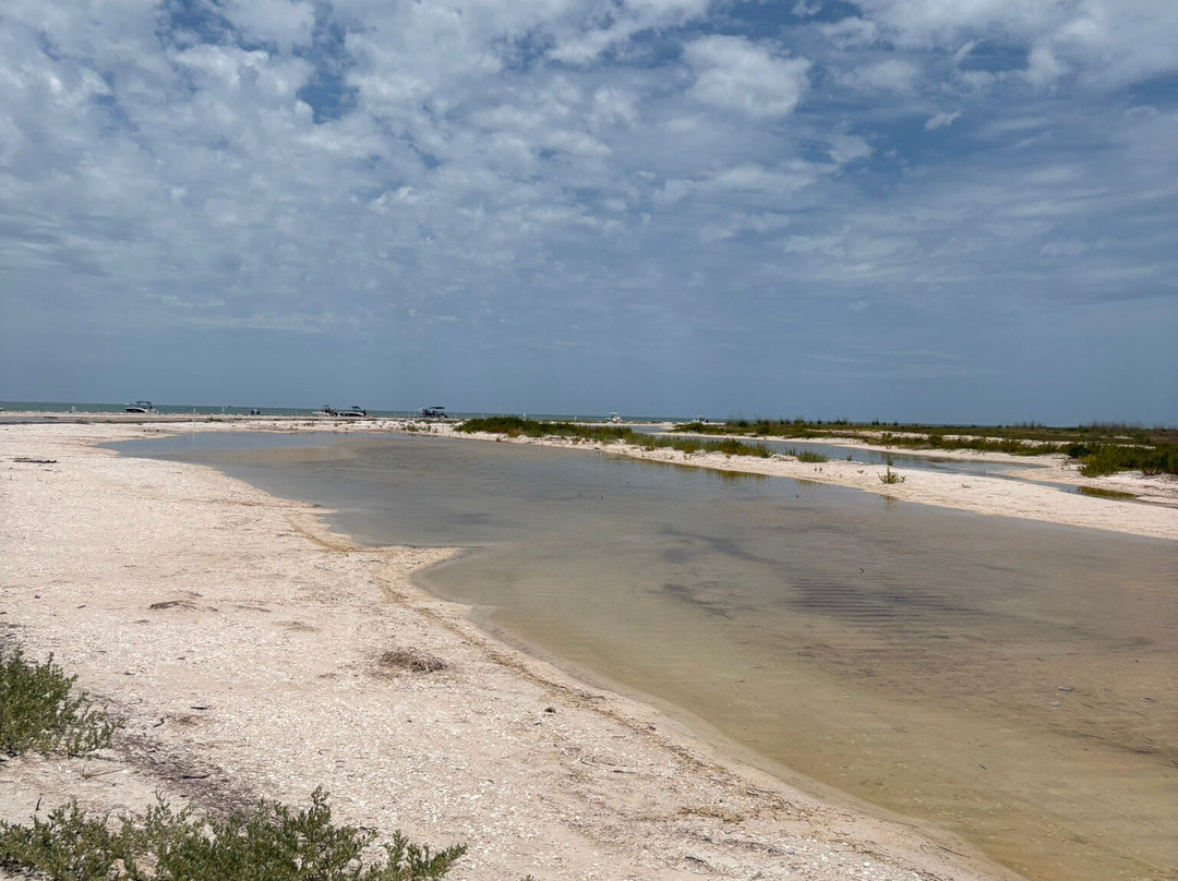 Anclote Key Preserve State Park-新里奇港必去景点