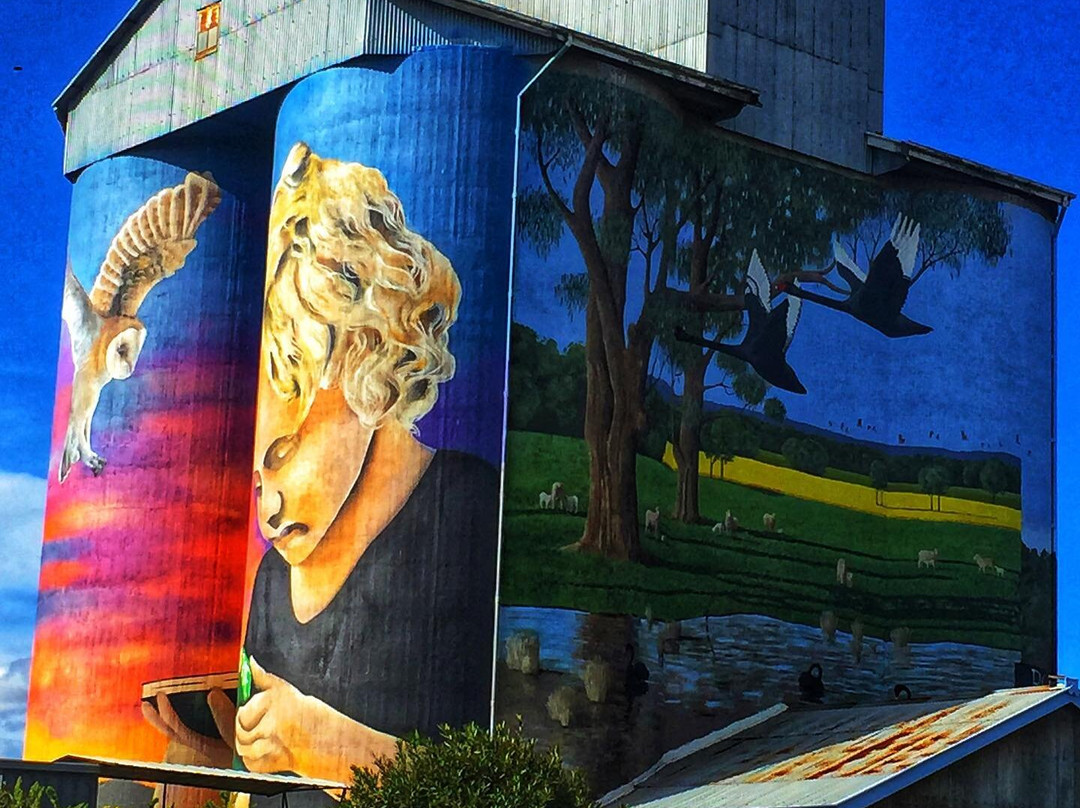 Silo Art Dunedoo-Dunedoo必去景点