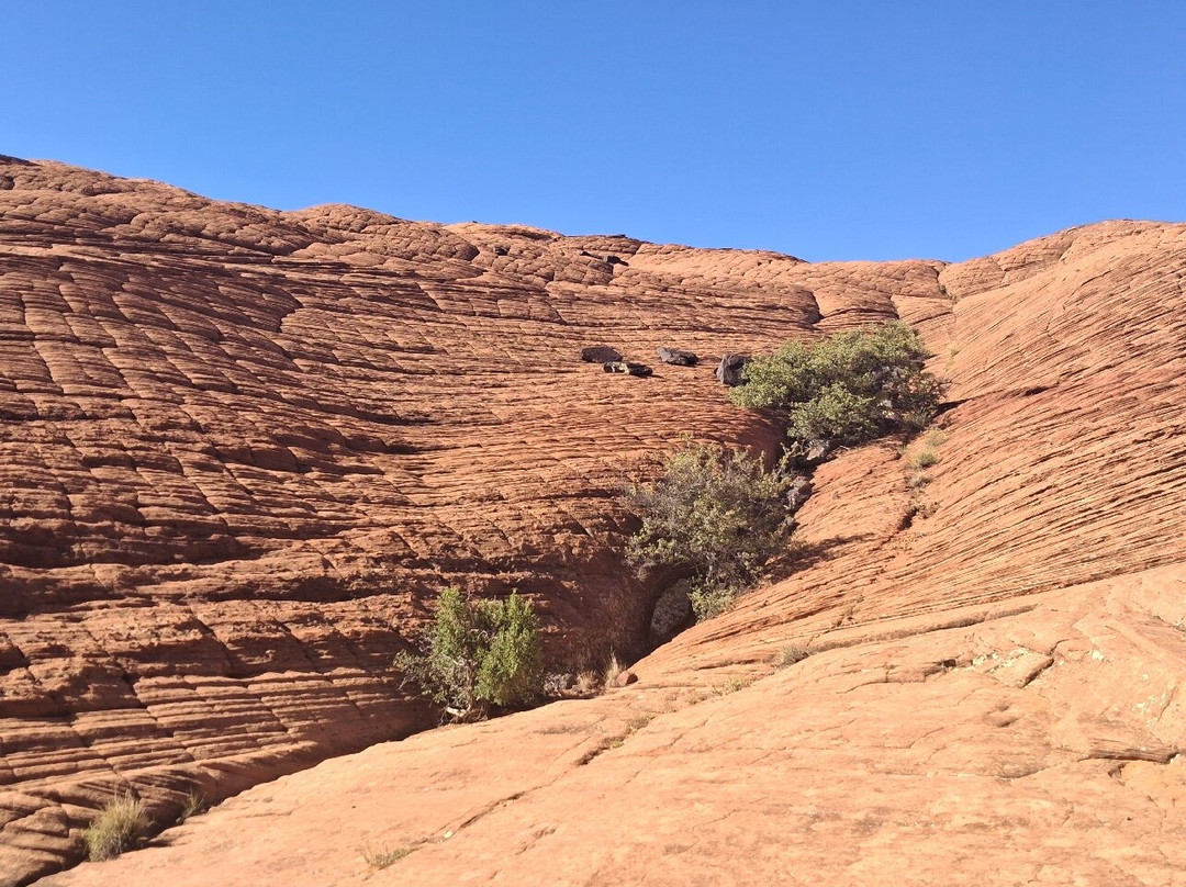 Snow Canyon State Park-犹他州必去景点