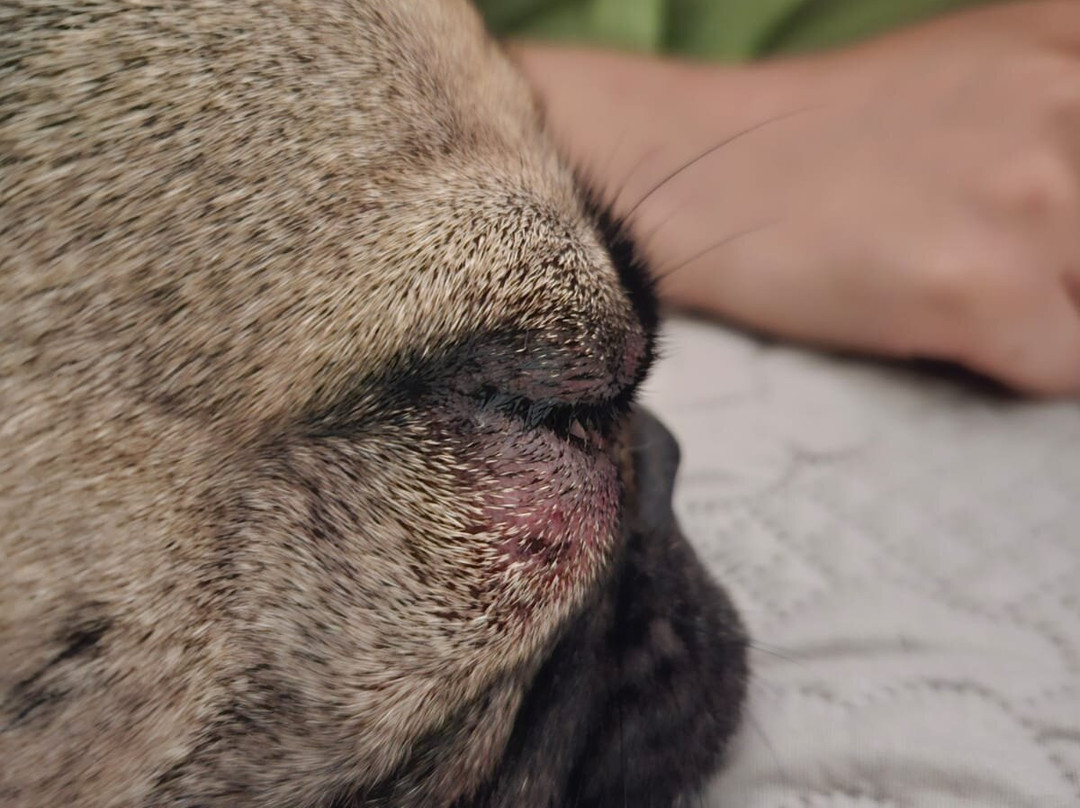 Bau Beach-Cecina必去景点
