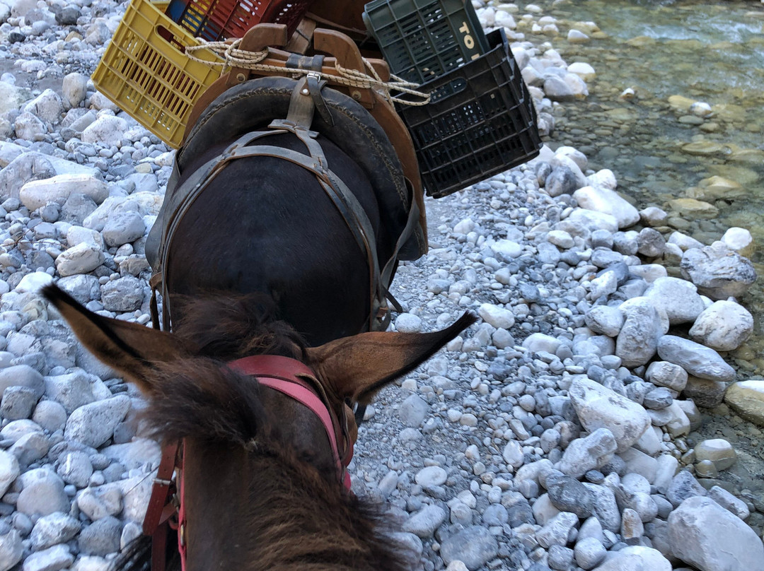 Samaria Gorge National Park-Samaria必去景点