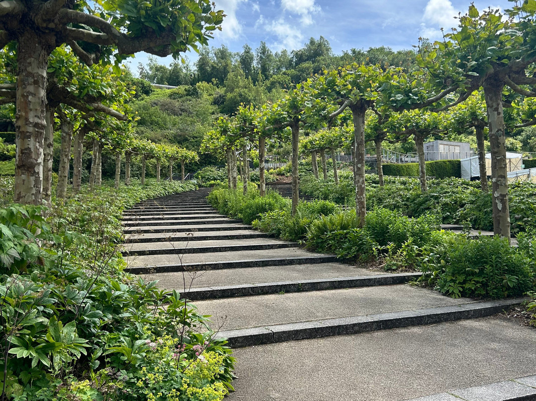 伊甸园植物园-Bodelva必去景点