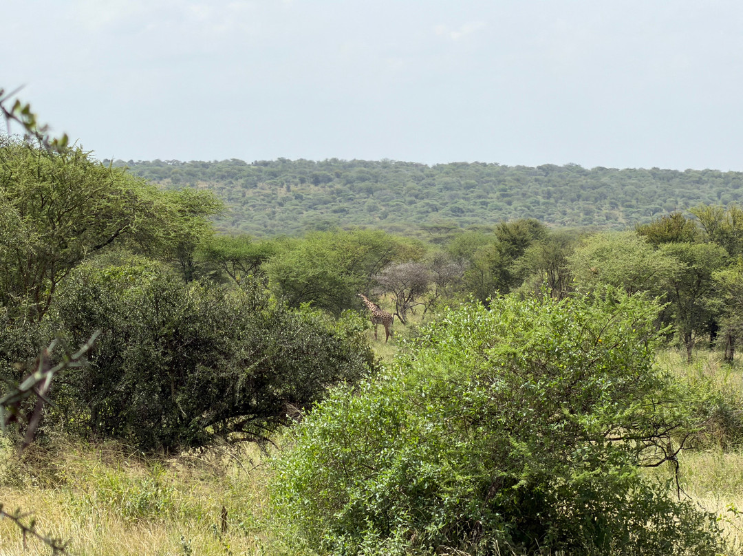 Itika Serengeti Camp