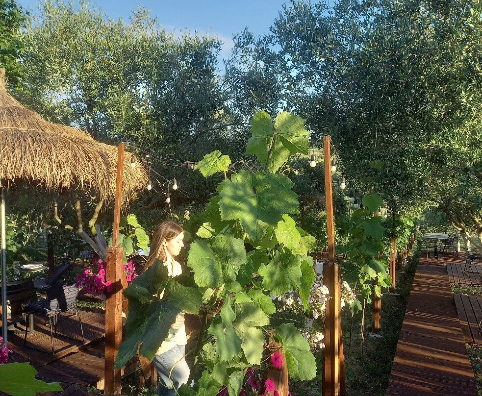 Abaia Winery & Vineyard-杜勒斯必去景点