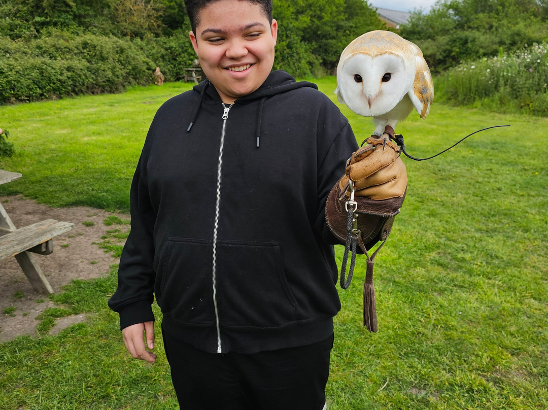 Feathers and Fur Falconry Centre-布拉克内尔必去景点