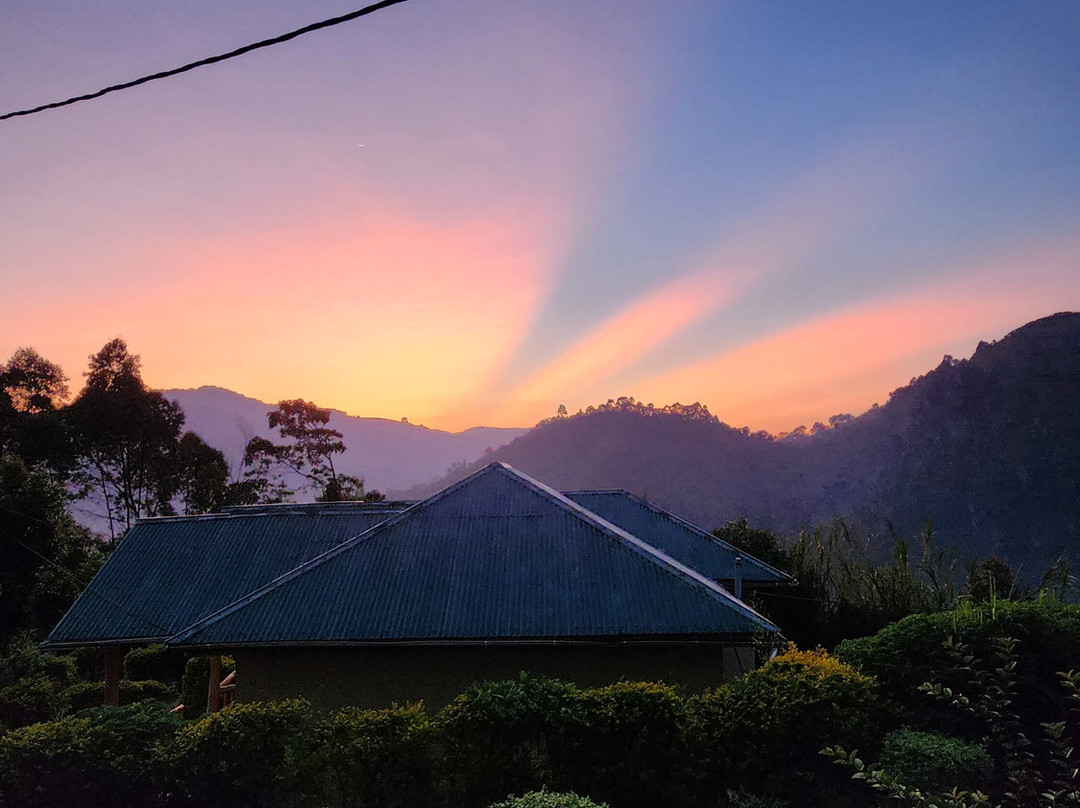 Gorilla Safari Consultants-坎帕拉必去景点